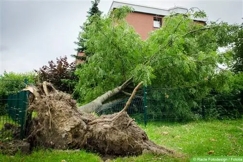 Tempestes d'estiu: què cobreix l'assegurança d'una bona llar?