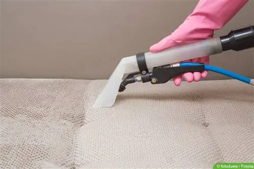 Clean upholstery to remove bed mites