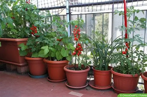 Balcone con piastrelle in pietra