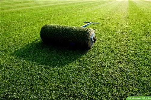 Roller on lawn