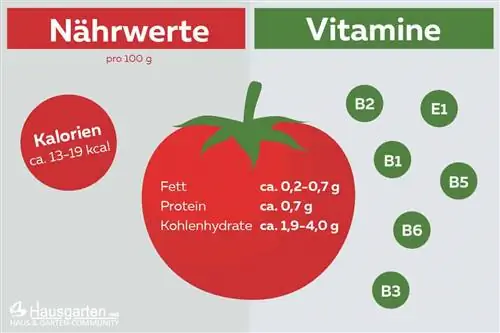 Domates: besin değerleri ve vitaminler