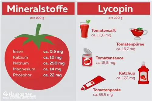 Domates - Mineraller - Likopen