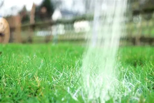 Retirez la mousse de la pelouse : 10 remèdes maison qui détruisent la mousse