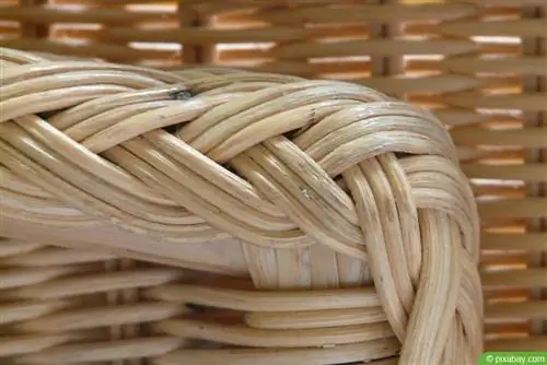 Rattan mobilyaların bakımı