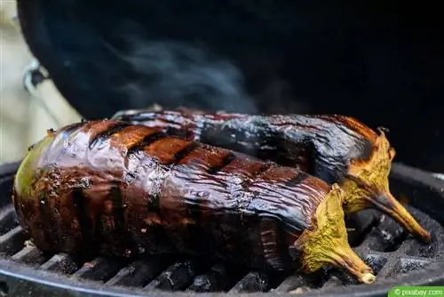 Padlizsán a grillen