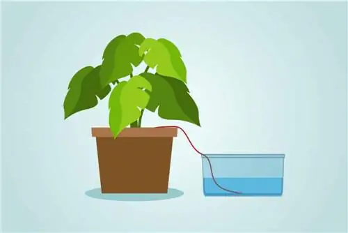 Construa sua própria irrigação automática - sistema de irrigação