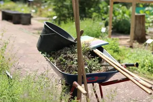 Մեկ ցողուն - 8 խորհուրդ ցախավելների, գլխիկների, բահերի համար & Co