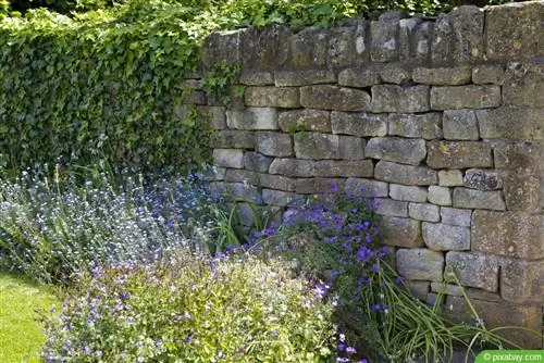 Revestindo o muro do jardim: 13 ideias para revestimento de parede