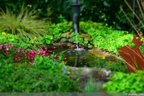 Hardin na walang damuhan: garden pond