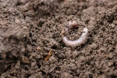 Dissodamento del terreno: 9 dispositivi & macchine per dissodamento del terreno