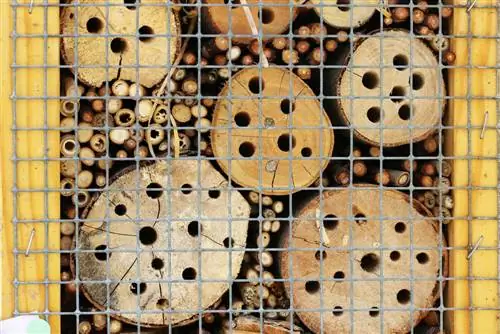 Insect hotel for relocating bees