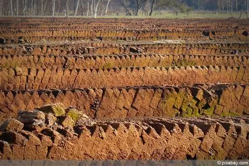 Paggamit ng itinaas na moor peat bilang potting soil - Ano ang dapat mong tandaan?