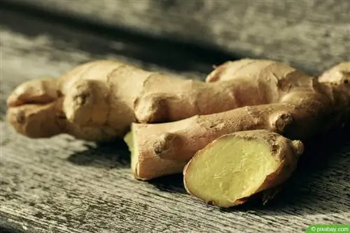 Storing Ginger - 7 tips to make ginger root last longer