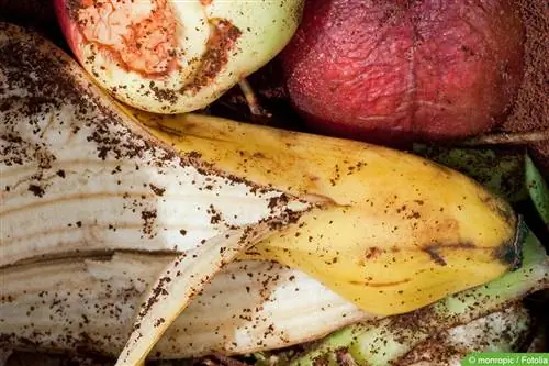 Gedroogde bananenschillen als meststof - Tips voor gebruik