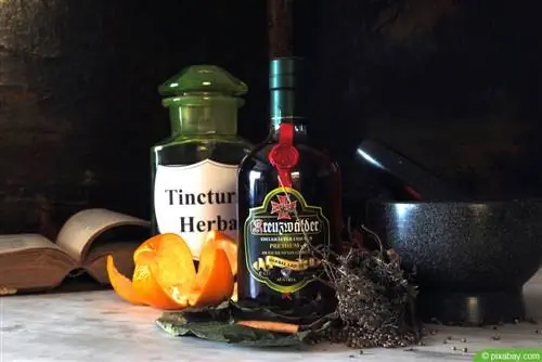 Préparez votre propre liqueur aux herbes - 5 recettes de schnaps aux herbes