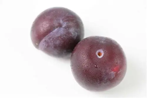 buah plum