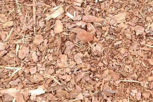 Pine mulch - an alternative type of mulch to bark mulch?