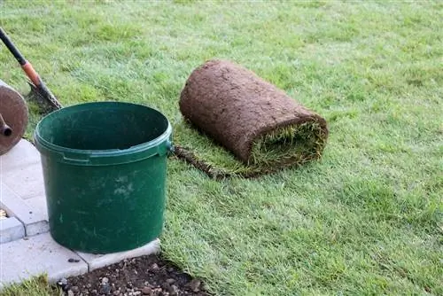 Graszoden leggen - Informatie over voorbereiding, kosten, timing & zorg