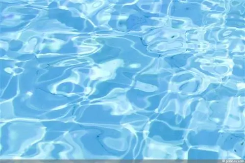 Sm altimento dell'acqua della piscina: 4 metodi - A cosa dovresti prestare attenzione con l'acqua clorata?