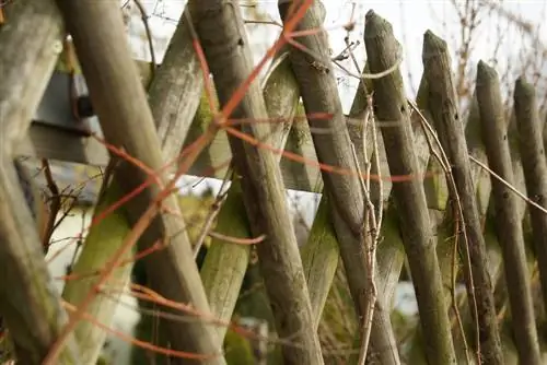 Hunter fence para sa gilid ng pond