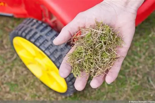 Ondoa moss kutoka kwa lawn