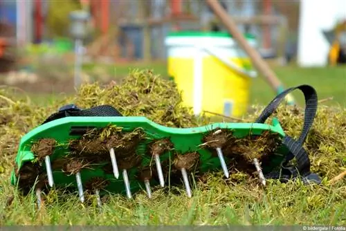 Udarakan rumput dengan kasut kuku