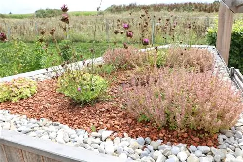 Green roofs