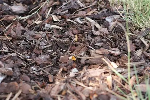 Bark mulch