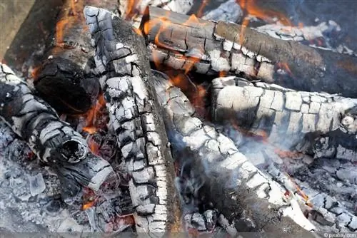 Wood ash as fertilizer - These 70 plants love grills and charcoal