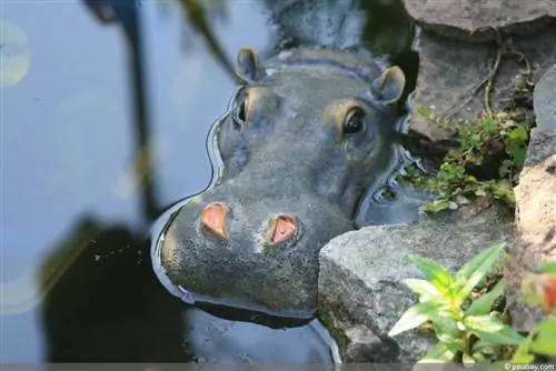 Water trough made of natural stone