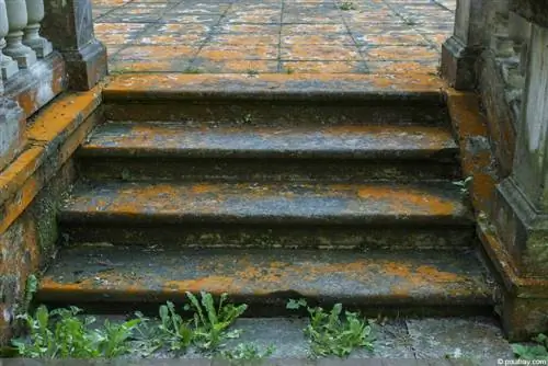 Painting concrete stairs - 8 tips for painting concrete steps