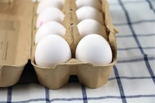 Eggshells as a natural barrier