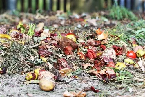 Déchets organiques pour compost