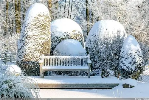 Banco de jardín en invierno