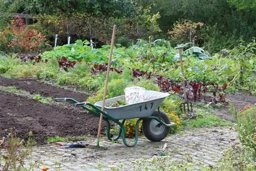 Chi phí quy hoạch sân vườn - đây là chi phí của một kiến trúc sư sân vườn