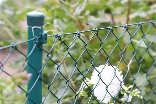 chain-link fence