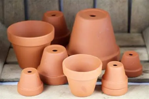 Terracotta pots