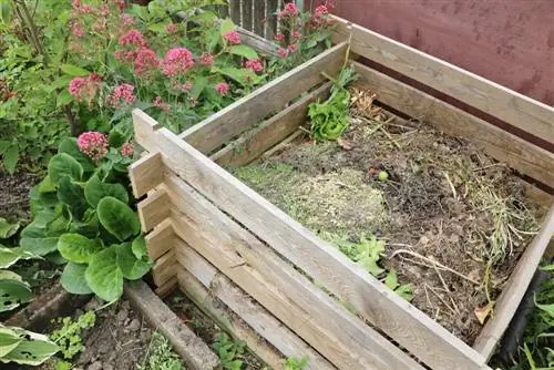 Larvas na compostagem: é assim que você se livra de larvas e outras larvas