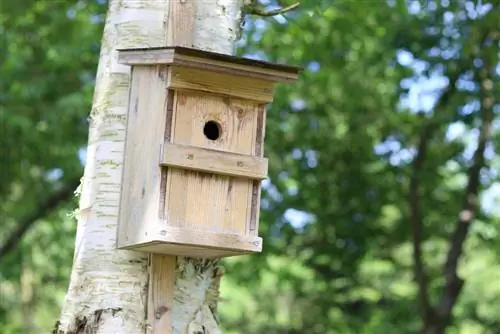 Gantungkan kotak bersarang: arah untuk titmice, kotak burung jalak & Co