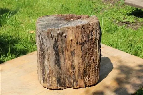 Swede vuurboom fakkel hout