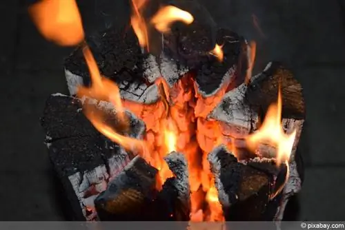 Švedska vatra - baklja na drvetu - vrijeme gorenja