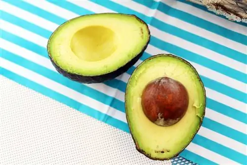 Avocado, Persea americana: profiel en voedingswaarden - Is het gezond?