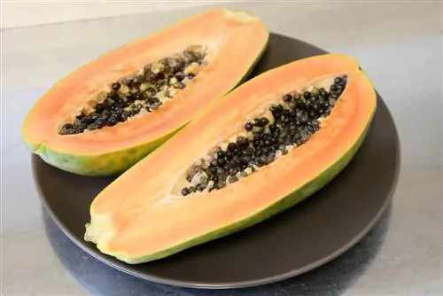 Crește-ți propria plantă de papaya - așa o poți crește din semințe