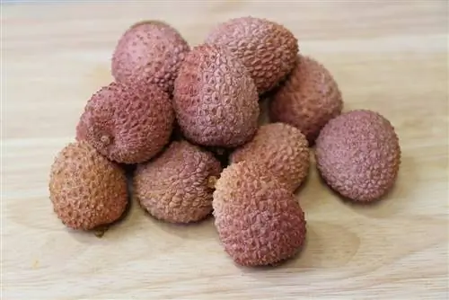 Frutti di litchi