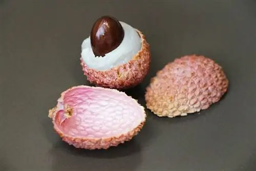 Çekirdekli Lychee