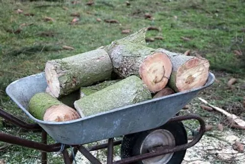 Brandhout in ruil daarvoor