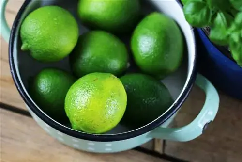 Lime fruits