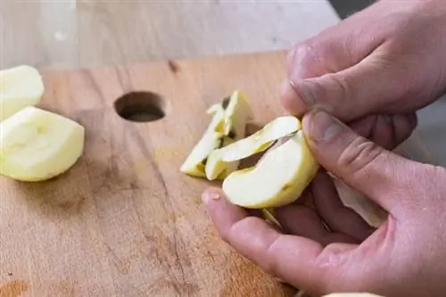 Cocine puré de manzana