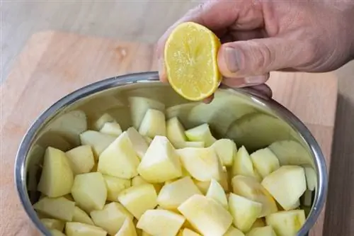 Cocine puré de manzana