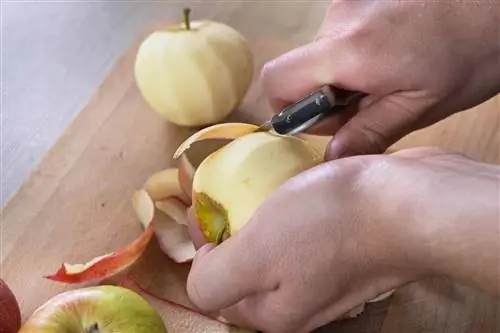 Usando manzanas: 25 ideas, platos de manzana & recetas